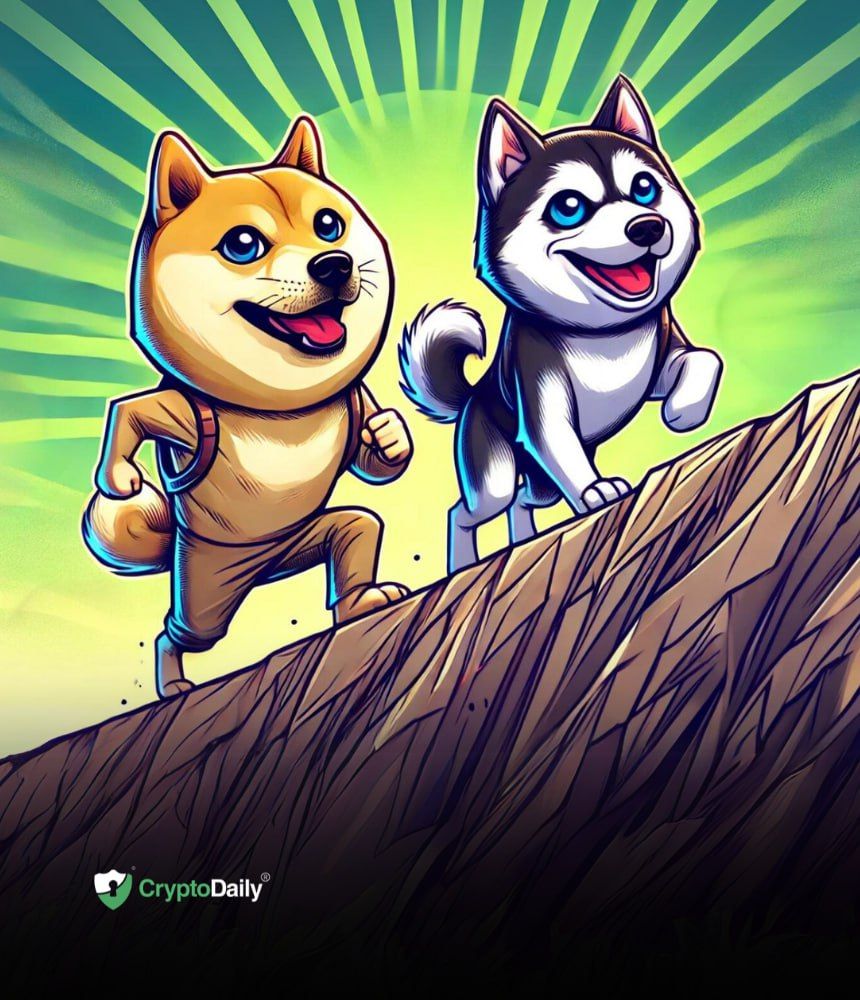 You are currently viewing New Highs Coming for Dogecoin (DOGE): 3 Meme Coins to Watch as Crypto's Dog Season Unfolds