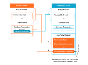 Read more about the article Understanding Rootstock: A Comprehensive Overview