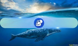 Read more about the article 2,100% Surge in Whale ApeCoin Transactions, What About APE’s Price?