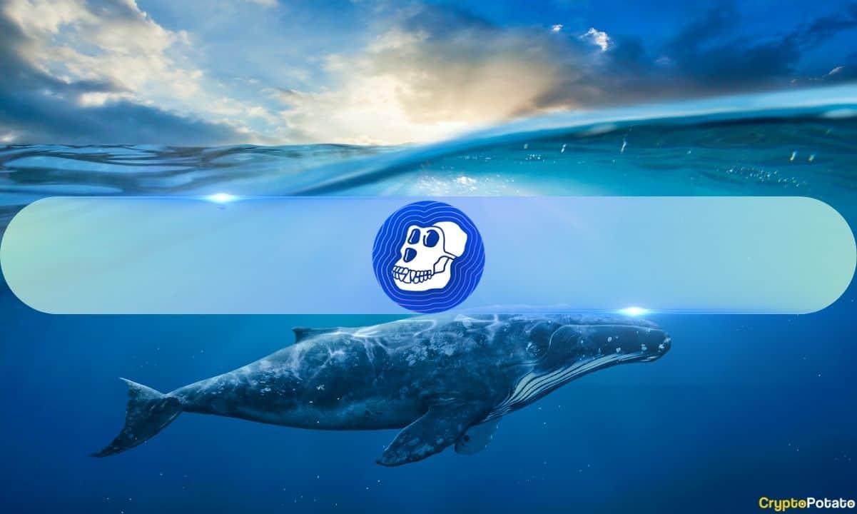 You are currently viewing 2,100% Surge in Whale ApeCoin Transactions, What About APE’s Price?