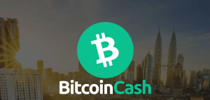 Read more about the article Bitcoin Cash Struggles with Demand After Mid-October Surge: What’s Next for BCH?