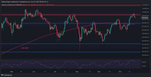 Read more about the article Bitcoin Price Analysis: What Are BTC’s Chances for New ATH After the Rejection at $69K?