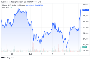 Read more about the article Bitcoin touches $66k as US Election now set up as bullish event