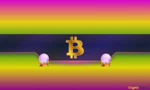 Read more about the article Bitcoin Price Predictions: This Important Metric Suggests Incoming ATH for BTC (Analyst)