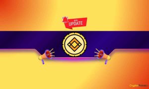 Read more about the article Important Binance Announcement Concerning Holders of Multiple Delisted Altcoins: Details