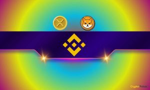 Read more about the article Here’s How Much Ripple (XRP) and Shiba Inu (SHIB) Binance Currently Holds