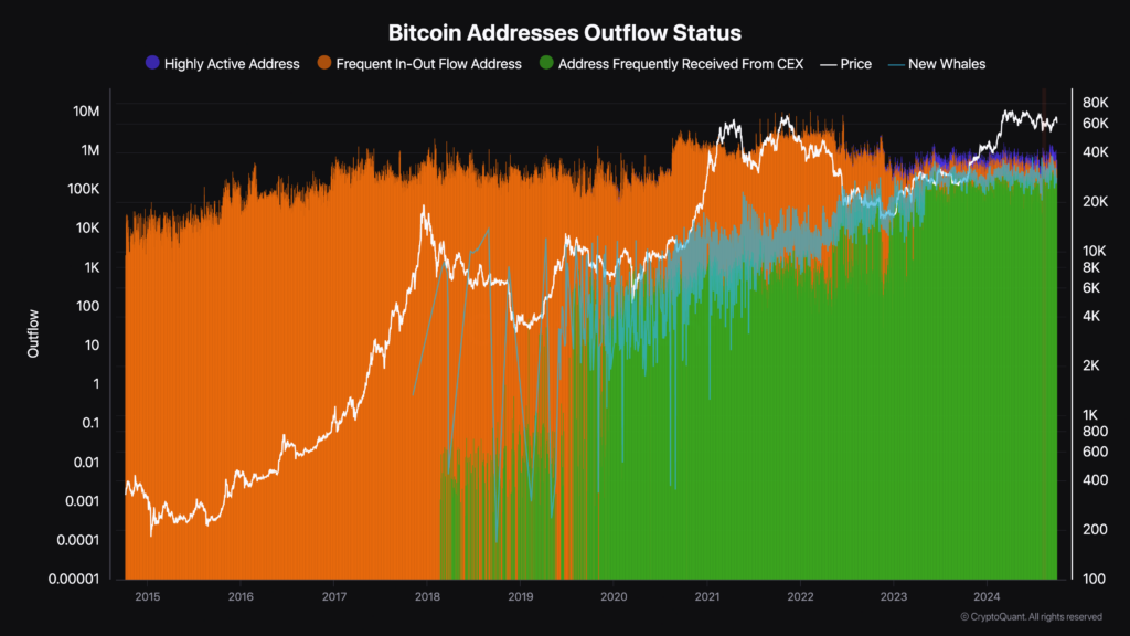 You are currently viewing Ten years of Bitcoin address data uncovers investor behaviors and market shifts