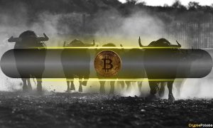 Read more about the article Bitcoin Enters Positive Seasonality Period, But There’s a Catch: CryptoQuant