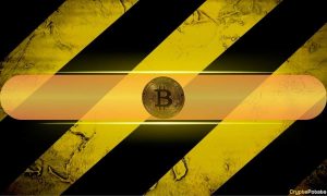 Read more about the article Bitcoin Could See Further Gains, But On-Chain Data Shows Warning Signs: Bitfinex