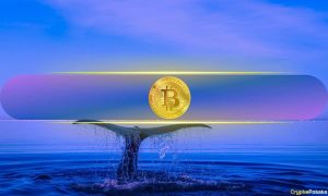 Read more about the article Does Bitcoin’s Rising Whale Wallets and Hash Rate Signal Calm Before the Storm?