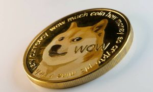 Read more about the article DOGE Leads SHIB and PEPE in This Important Metric: Details