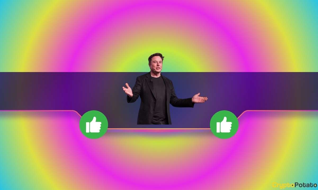 You are currently viewing Pro-XRP Lawyer Running for US Senate Receives Support From Elon Musk: Details