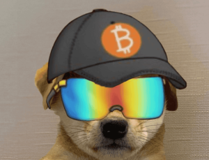 Read more about the article Dogwifhat, Popcat Continue to Rise as New Meme Coin Pepe Unchained Hits New Presale Milestone