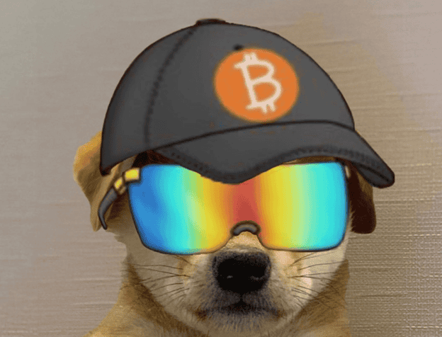 You are currently viewing Dogwifhat, Popcat Continue to Rise as New Meme Coin Pepe Unchained Hits New Presale Milestone