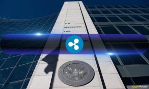 Read more about the article Ripple Submits Form C in SEC Case, Highlighting 4 Key Issues: Details