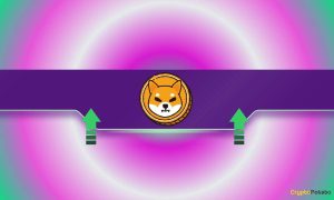 Read more about the article Shiba Inu (SHIB) Price Soars 4% Daily as Exchange Reserves Keep Declining