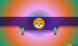 Read more about the article Why Is the Shiba Inu (SHIB) Price Up Today?