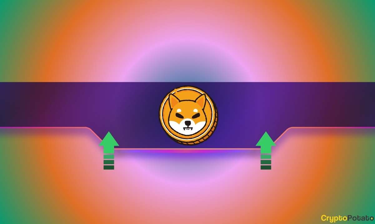 You are currently viewing Why Has Shiba Inu’s (SHIB) Price Skyrocketed by 25% Today?