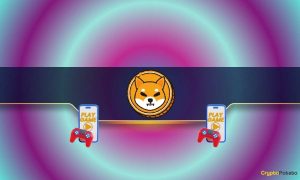 Read more about the article Shiba Inu (SHIB) Team Introduces a New Web3 Game: Details