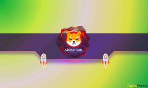 Read more about the article Key Shibarium Metric Skyrockets by 1,300%: Is Shiba Inu (SHIB) Preparing for Price Rally?