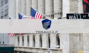 Read more about the article Bitcoin Miner TeraWulf Sells 25% Stake in Nautilus for $92 Million