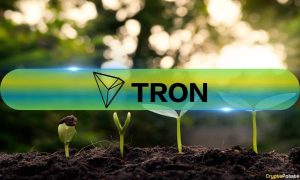 Read more about the article Tron’s Q3 2024 Revenue Grows by 6% in TRX Amidst Meme Coin Boom