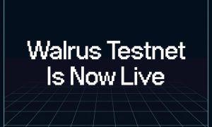 Read more about the article Decentralized Storage Protocol Walrus Launches Public Testnet