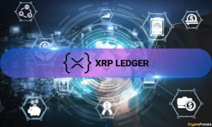 Read more about the article Here’s How XRP Ledger Has Performed On-Chain Over the Past Month