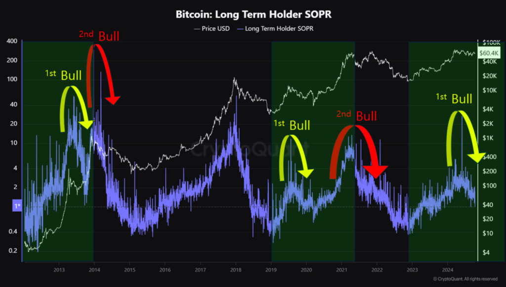 You are currently viewing Bitcoin bull market primed for second breakout and long-term holding profit taking