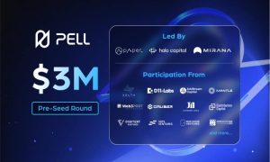 Read more about the article Pell Network Secures $3M Funding to Build Omnichain DVS Network