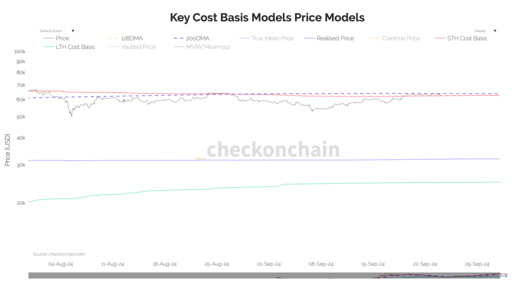 You are currently viewing Bitcoin hits support from key level at short-term holder cost basis