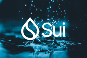 You are currently viewing Sui Network attracts investments and expands the user base: the network of the moment?