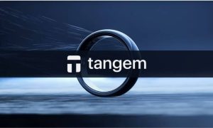 Read more about the article Marry with Crypto: Tangem’s Ring-Shaped Wallet for a New Era of Commitment