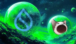 Read more about the article Top Analyst Says One Memecoin About To Go ‘Mental,’ Updates Forecast on SUI and POPCAT