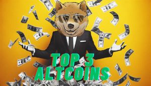 Read more about the article Top 3 Altcoins That Could Outperform Solana and Dogecoin When the Next Bull Market Hits