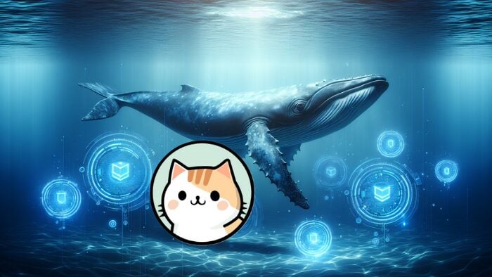 You are currently viewing Whales Scooping Up 3 Bullish Coins Ahead of Altcoins Rally: What You Should Know