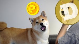 Read more about the article Shiba Inu Price Could Skyrocket by 5,000% and Dethrone Dogecoin This Bull Cycle, Says Analyst—Should We Wait for the Next Meme Coin Star?