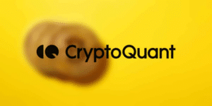 Read more about the article CryptoQuant CEO Calls for ‘Smart Regulation’, Sparking Community Debate