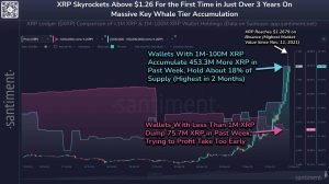 Read more about the article Ripple Whales and Sharks Are Buying as Retail Are Selling: Is That Bullish for XRP?