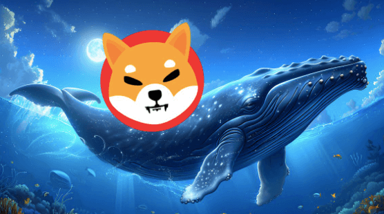 You are currently viewing Shiba Inu Sell-Off Hits SHIB Hard as Whales Shift to Viral Sports Memecoin XYZVerse (XYZ) After 15,000% Surge