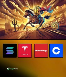 Read more about the article The fastest horses for the bull market – and it’s not just crypto!