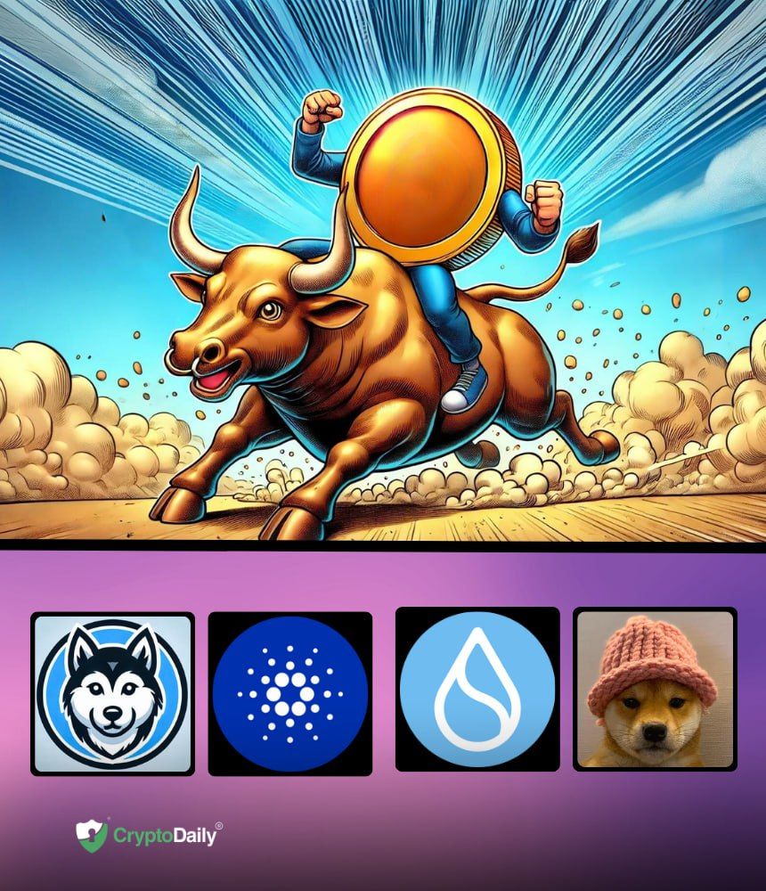 You are currently viewing Altcoins to Buy as BTC Smashes $80K in post-Trump Victory