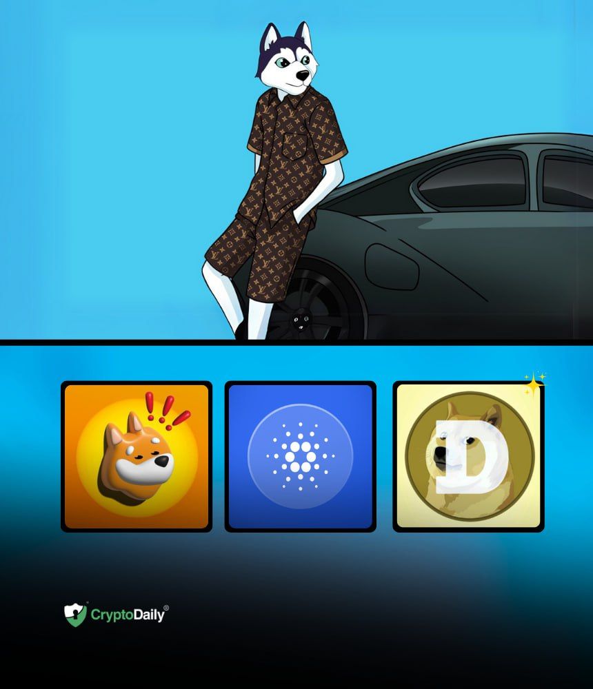 You are currently viewing Popular Altcoins Set for Big Gains in the Next Market Rally