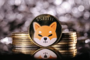 Read more about the article Shiba Inu-ekosystemet utvecklas: SHIB får korskedjekapacitet med Chainlink.