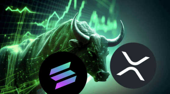 You are currently viewing Solana and XRP Fail to Impress as Bull Run Stars—Here’s the Altcoins Set for Explosive Profits in Just 3 Months!