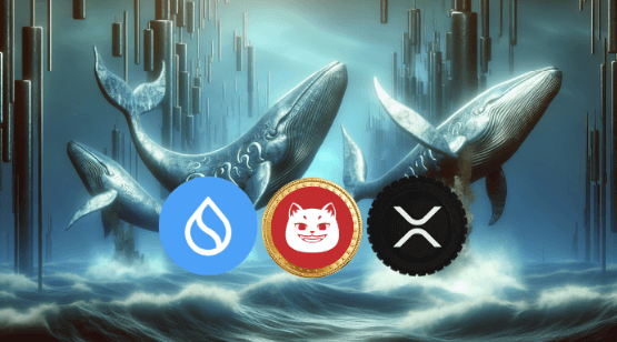 You are currently viewing Crypto Whales Quietly Hoard SUI, XRP and CATZILLA — 6,500% Growth Potential on the Horizon!