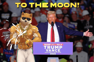 Read more about the article Meme Coin Frenzy as Trump’s Win Spurs DOGE Investors — 150,000x Potential!