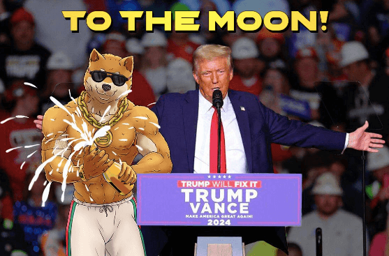 You are currently viewing Meme Coin Frenzy as Trump’s Win Spurs DOGE Investors — 150,000x Potential!