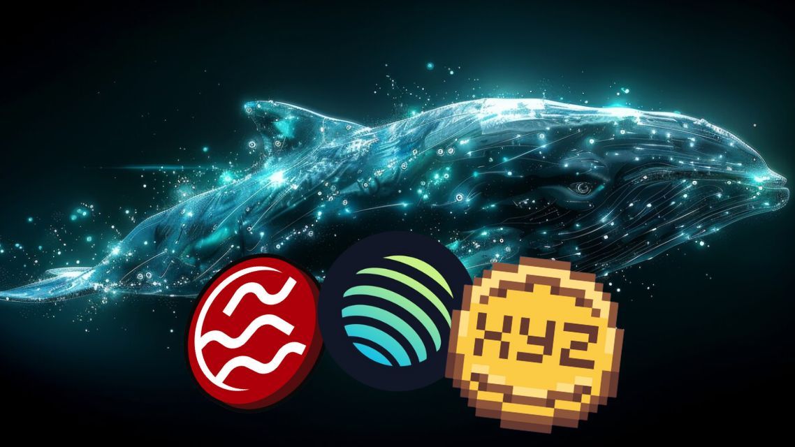 You are currently viewing Whales Accumulate SEI, Jupiter, and XYZVerse Ahead of Skyrocketing Price Predictions!