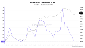 Read more about the article Short-term holders hit with losses as Bitcoin fell below $93k